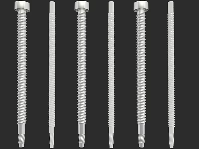 Stainless Steel Hardware Screws With Threaded And Smooth Shanks In Various Lengths 3d model