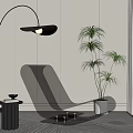 Transparent Modern Lounge Chair With Floor Lamp Green Plant And Striped Rug