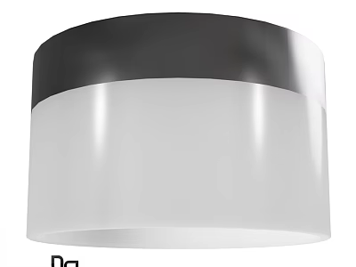 Modern White And Black Ceiling Light With Sleek Round Design For Home 3d model