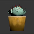 Close Up of Succulent Plant With Turquoise Leaves and Red Spines in Yellow Pot