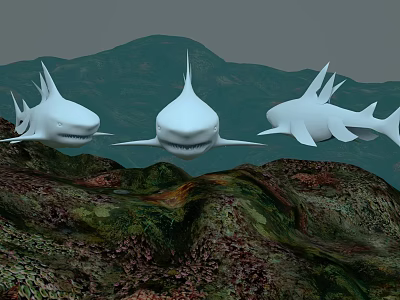Shark fish ocean three view seabed 3d model Shark fish ocean three view seabed 3d model