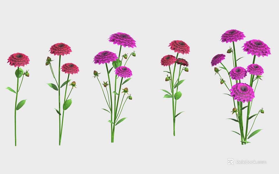 Beautiful Red and Purple Flowers with Green Stems and Leaves Arranged in a Row 3d model 