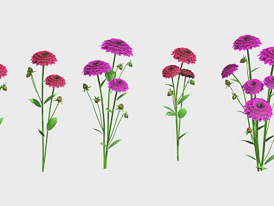 Beautiful Red and Purple Flowers with Green Stems and Leaves Arranged in a Row 3d model