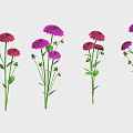 Beautiful Red and Purple Flowers with Green Stems and Leaves Arranged in a Row