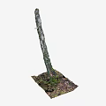 Tree Trunk With Moss Covered Bark And Fallen Leaves Around Roots In Soil 3d model