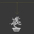 Bonsai banyan bonsai bonsai plant bonsai small banyan tree small banyan tree banyan tree 3d model