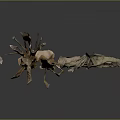 Natural Wooden Stone Decorative Pieces With Tree Root Shapes And Textures