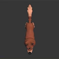 Cute Brown 3D Dog Model With Red Collar In Standing Pose 3d model