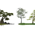modern tree landscape tree arbor 3d model