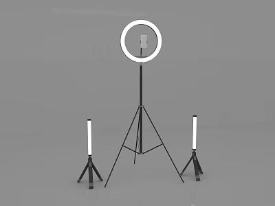 Modern Art Installation With Ring Light Tripod Stand And Slim Light Poles 3d model