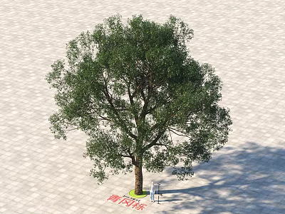 Lush Green Arbor With Thick Trunk Standing On Paved Ground And Shadow 3d model