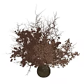 Ceramic Vase With Dried Branches And Red Gold Leaves For Home Decoration