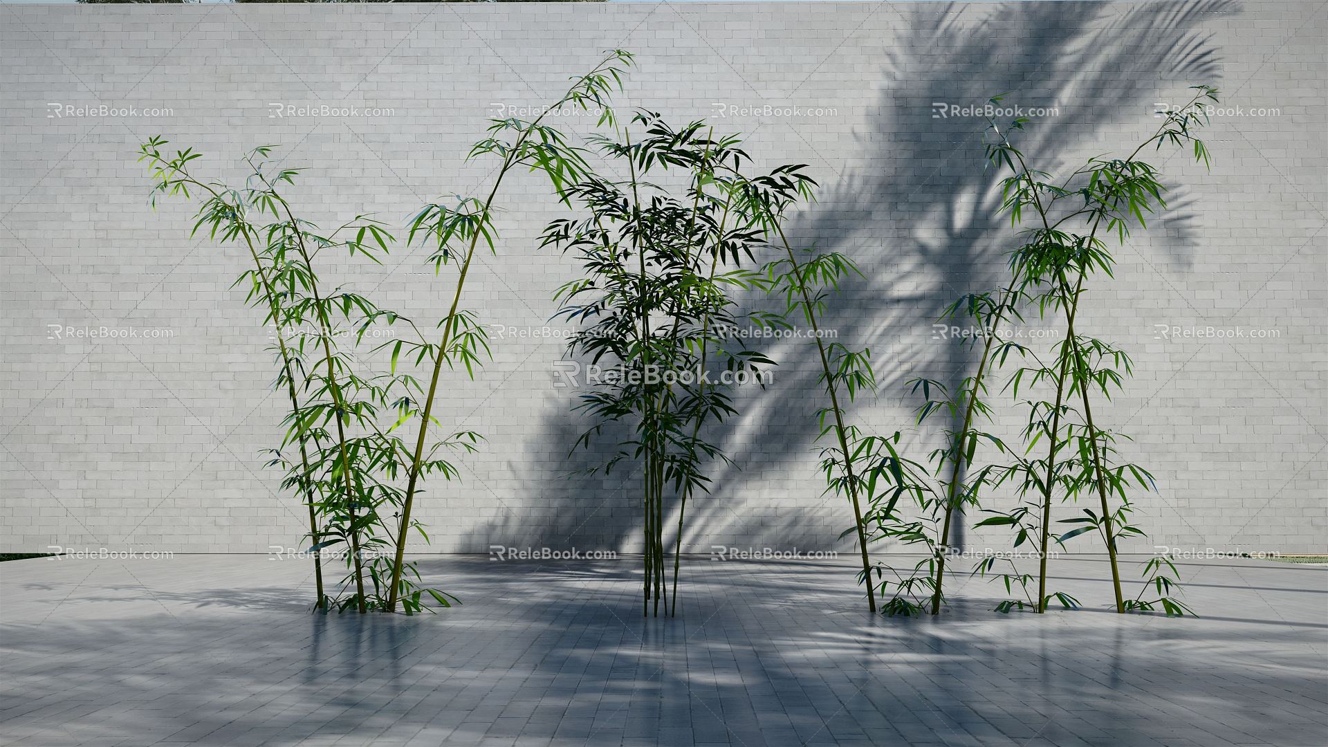 Modern Bamboo Plant Bamboo 3d model