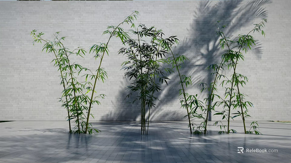 Bamboo Plants in Modern Indoor Setting With White Wall Gray Floor and Shadows 3d model 