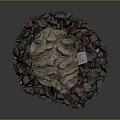 Brain Shaped Coral Specimen with Red and Gray Stones and Bottom Tag
