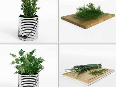 Fresh Vegetables and Herbs in Metal Pots and on Wooden Cutting Boards 3d model