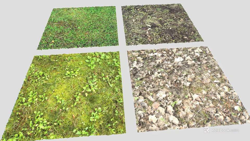 Diverse Natural Ground Scenes With Green Grass Moss And Fallen Leaves 3d model 