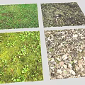 Diverse Natural Ground Scenes With Green Grass Moss And Fallen Leaves
