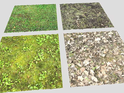 Diverse Natural Ground Scenes With Green Grass Moss And Fallen Leaves 3d model