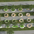 Various Circular Tree Planters With Trees On Grass Lawn And Pathway 3d model