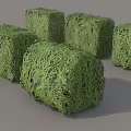 Six Green Cube Shaped Shrubs Neatly Arranged on Gray Background 3d model