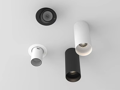 Modern Downlights And Spotlights In Black And White For Interior Lighting Design 3d model