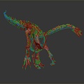 Modern skeleton dinosaur skeleton dinosaur fossil 3d model