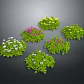 Vibrant Flower Bushes With White Pink Yellow Flowers And Green Leaves On Dark Background