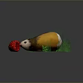 Cute Yellow And White Guinea Pig Sniffing Fresh Strawberry On Green Grass