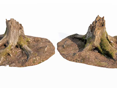 Rustic Stone Wood Tree Stumps With Exposed Roots Green Moss And Natural Stones 3d model