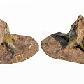 Rustic Stone Wood Tree Stumps With Exposed Roots Green Moss And Natural Stones