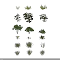 Assorted Green Plants Collection With Diverse Leaf Shapes And Growth Forms 3d model