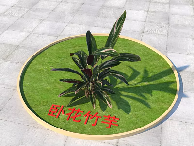 Lush Tricolor Stromanthe Plant in Circular Grassy Bed with Dark Green and Purple Striped Leaves 3d model