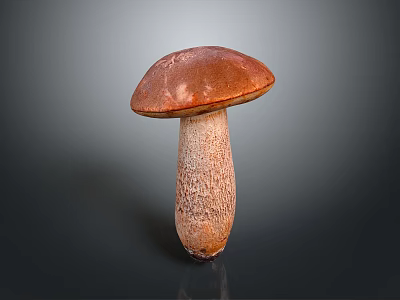 Fresh Wild Mushroom Plant with Brown Cap and Textured White Stem 3d model