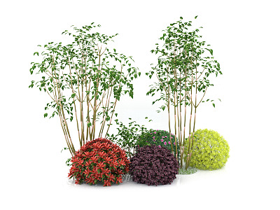 modern shrub assemblage 3d model