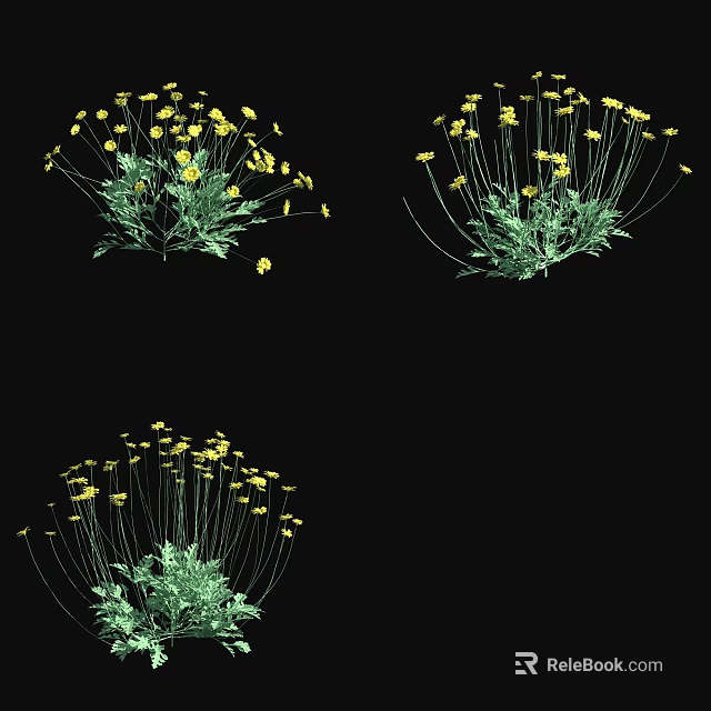 Beautiful Yellow Flowers with Green Leaves and Slender Stems Growing on Black Background 3d model 