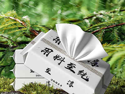 Household Tissue Pack with Chinese Calligraphy Design Surrounded by Green Plants and Raindrops 3d model