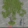 Three Level Arbor with Circular Lawn on Square Stone Pavement and Person Standing Beside