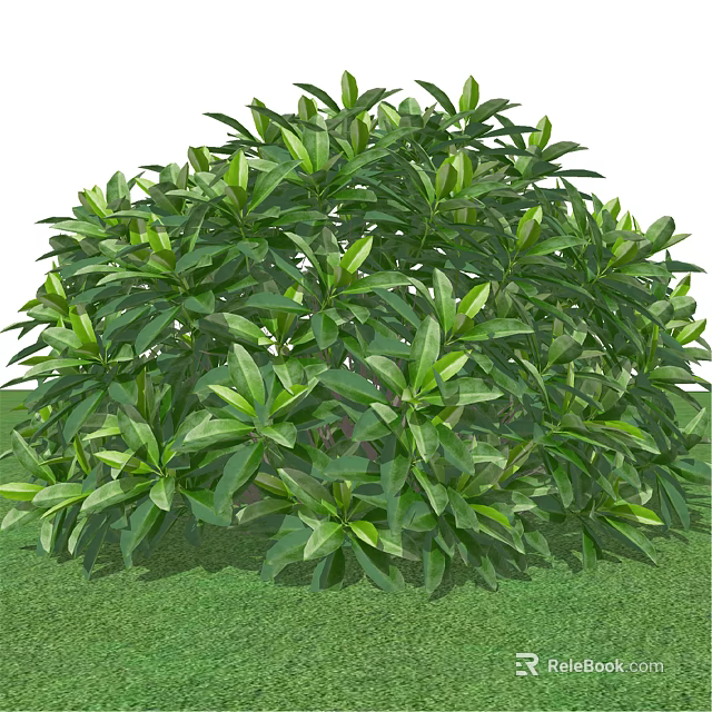 Lush Green Bush with Broad Vibrant Leaves Growing on Fresh Grass 3d model 