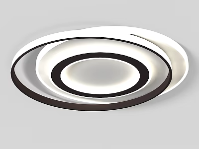 Modern Circular Ring Ceiling Light with Black and White Sleek Design for Home Interior Lighting 3d model