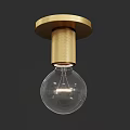 Elegant Modern Golden Ceiling Light with Transparent Glass Bulb and Perforated Metal Design
