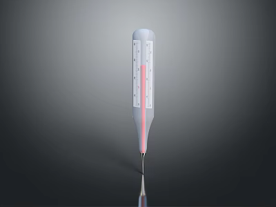 Accurate Analog Thermometer With Stainless Steel Body Red Liquid Indicator And Clear Scale 3d model