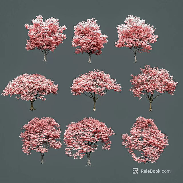 Stunning Pink Flowering Shrubs With Various Shapes For Garden Landscaping 3d model 