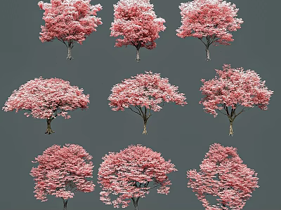 Stunning Pink Flowering Shrubs With Various Shapes For Garden Landscaping 3d model
