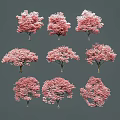 Stunning Pink Flowering Shrubs With Various Shapes For Garden Landscaping