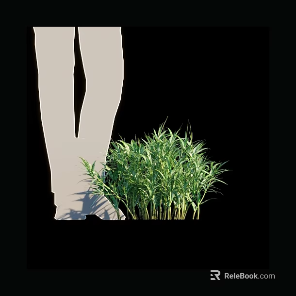 Green Bamboo Plants With White Leg Silhouette On Black Background 3d model 