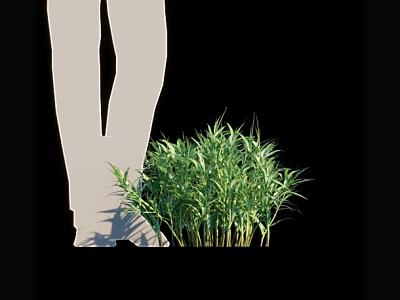 Green Bamboo Plants With White Leg Silhouette On Black Background 3d model