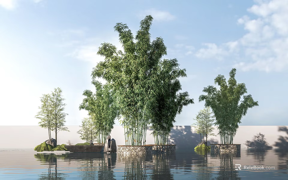 Bamboo Plants In Natural Waterfront Landscape With Green Foliage And Calm Water Reflection 3d model 