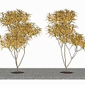 Two Golden Leaf Trees Planted on Gray Stone Slab with White Background 3d model