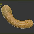 Curved Orange Pumpkin With Textured Skin On Dark Reflective Surface